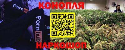 ALPHA-PVP Пыть-Ях