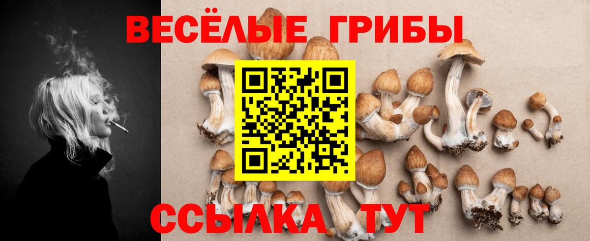 Назарово  Псилоцибиновые грибы GOLDEN TEACHER  Вход с VPN 